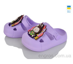 Кроксы Golden Lion